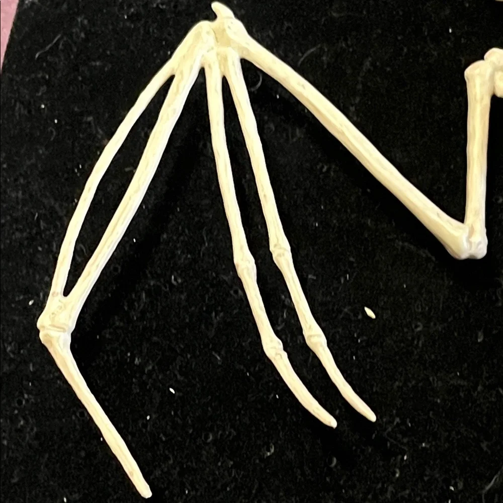 Natural Bat Skeleton Reptile Decor - Cream